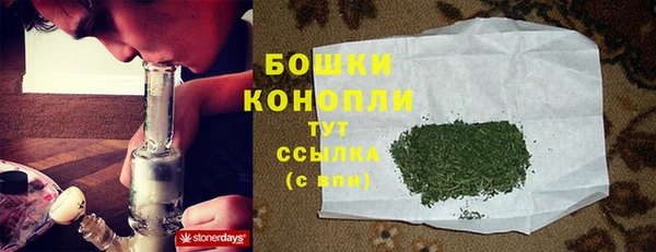 мдпв Волоколамск