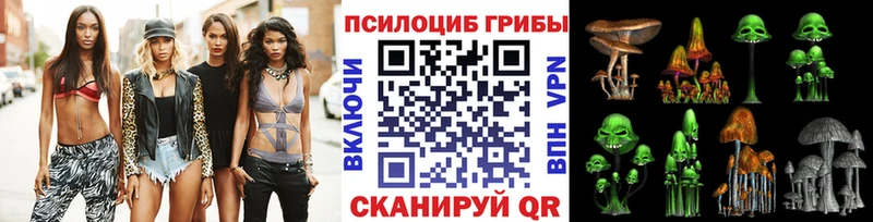 Купить  Александровское  Псилоцибиновые грибы MAGIC MUSHROOMS 